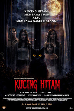 KUCING HITAM